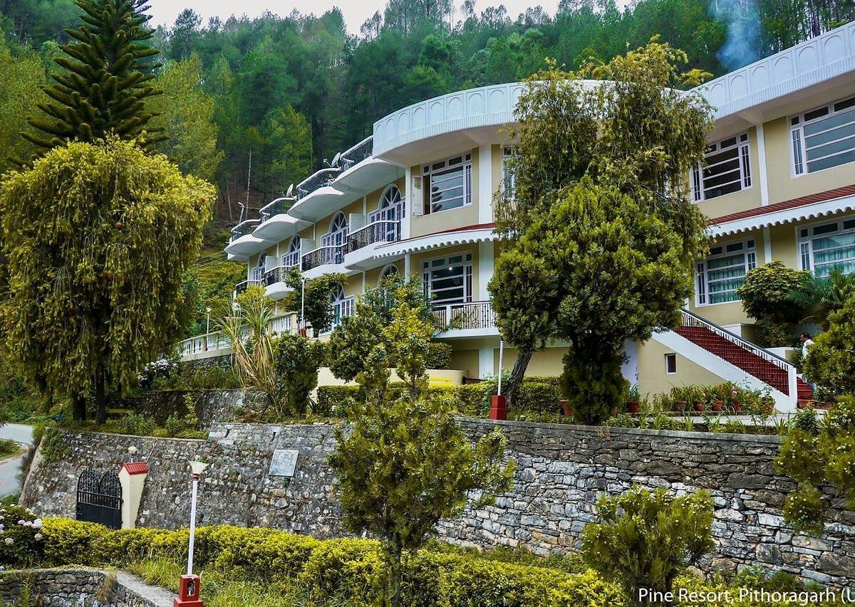 Pine Resort